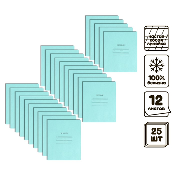 Комплект тетрадей (прописи) из 25 штук, 12 листов в частую косую линию КФОБ "Зелёная обложка", 60 г/м2, блок офсет, белизна 100% - Фото 1