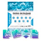 Файл-вкладыш А5, 30 мкм, Calligrata, глянцевый, горизонтальная ориентация, 100 штук - Фото 1