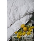 Одеяло лёгкое, размер 140x205 см, цвет МИКС - Фото 2