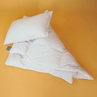Подушка детская низкая, размер 40x60 см, цвет МИКС - фото 110812124