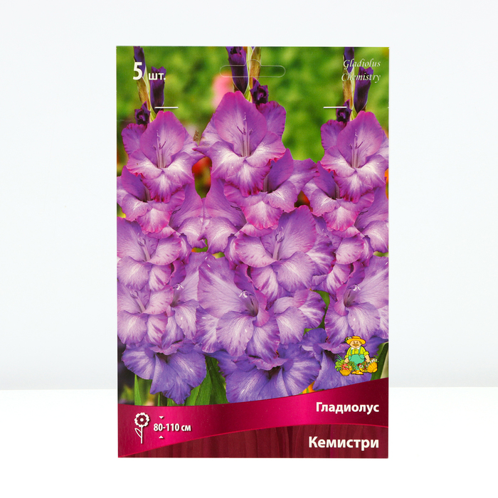 Гладиолус крупноцветковый «Кемистри», луковица цветов в пакете с перфорацией, р-р 12/14, 5 шт. - Фото 1