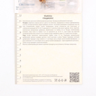 Гладиолус крупноцветковый "Морнинг Голд", р-р 10/12, 3 шт - Фото 3
