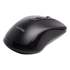 Мышь Smartbuy 282AG-K Nude, беспроводная, оптическая, 1600 dpi, 1хAAA, USB, черная - фото 51566064 Мышь Smartbuy 282AG-K Nude, беспроводная, оптическая, 1600 dpi, 1хAAA, USB, черная - фото 51566064