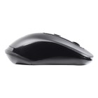 Мышь Smartbuy 282AG-K Nude, беспроводная, оптическая, 1600 dpi, 1хAAA, USB, черная - фото 51566065 Мышь Smartbuy 282AG-K Nude, беспроводная, оптическая, 1600 dpi, 1хAAA, USB, черная - фото 51566065