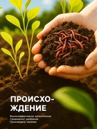 Органическое удобрение «Биогумус» Рецепты дедушки Никиты, концентрат, канистра 3 л - Фото 4