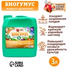 Органическое удобрение «Биогумус» Рецепты дедушки Никиты, концентрат, канистра 3 л 10530376 - фото 16633130