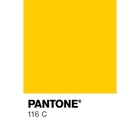 Краска акриловая матовая в тубе 75 мл CALLIGRATA, КМ014, жёлтая средняя, пантон 116С - Фото 3