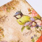 Декупажная карта «Птицы», 21 × 29,7 см - Фото 2