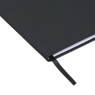 Дневник универсальный для 1-11 класса "Молодость всё простит", интегральная обложка, искусственная кожа, шелкография, ляссе, 80 г/м2 - фото 24416674