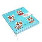 Дневник универсальный для 1-11 класса Corgi, твёрдая обложка, искусственная кожа, с поролоном, ляссе, 80 г/м2 - фото 24392124