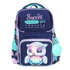Рюкзак школьный 37х28х14, эргономичная спинка, deVENTE Smart 14L, Happy Owl, для девочек, бирюзовый/фиолетовый - Фото 3