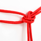 Пояс-шнурок женский, без пряжки, цвет красный - фото 24165491