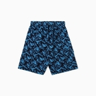 Шорты купальные мужские, цвет синий, размер 52 - фото 24324958