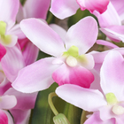 цветы искусственные ветка орхидеи 75 см d-7 см розовый - Фото 2