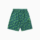 Шорты купальные мужские, цвет зелёный, размер 56 - фото 24298943