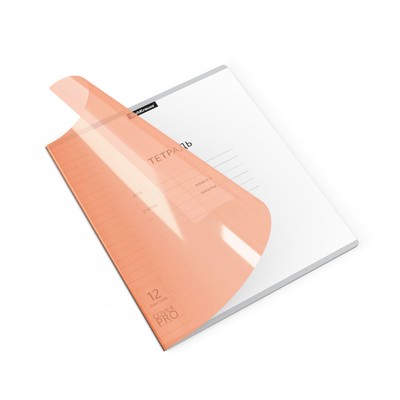 Тетрадь 12 листов, линейка А5+, на скобе, ErichKrause, Классика CoverPrо Neon, пластиковая обложка оранжевый,