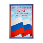 Набор плакатов "Символы РФ" А4 - Фото 3