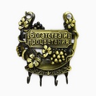 Ключница настенная подкова «Богатства и процветания», 10.5×12 см - Фото 6