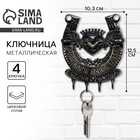 Ключница настенная подкова «Счастья и добра», 10.3×12.5 см - Фото 1