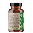 Женьшень OVERvit с таурином, 60 капсул - Фото 3