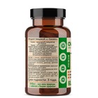 L-Теанин OVERvit, 60 капсул - Фото 2