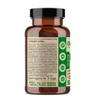 Глицин OVERvit, 90 капсул - фото 24275166