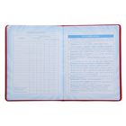 Дневник школьный, 5-11 класс, обложка ПВХ, под мрамор "Сова", розовый - Фото 5