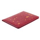 Дневник школьный, 5-11 класс, обложка ПВХ, под мрамор "Сова", розовый - Фото 6