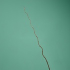 Интерьерный декор из бамбука, 200 см, светлый - Фото 3