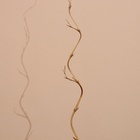 Интерьерный декор из бамбука, 200 см, светлый - Фото 4