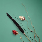 Интерьерный декор из бамбука, 200 см, светлый - Фото 6