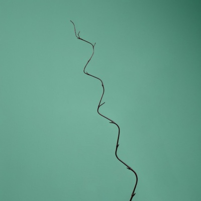 Интерьерный декор из бамбука, 200 см, тёмный