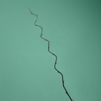 Интерьерный декор из бамбука, 200 см, тёмный