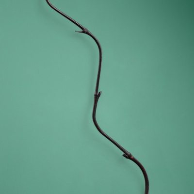 Интерьерный декор из бамбука, 200 см, тёмный