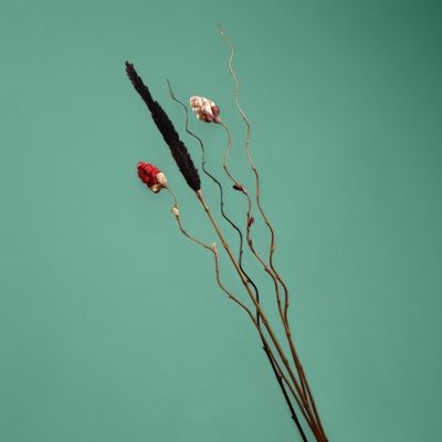 Интерьерный декор из бамбука, 200 см, тёмный