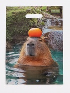 Пакет подарочный «Капибара», полиэтиленовый с вырубной ручкой, 30?40 см 50 мкм (комплект 50 шт) - фото 65424171