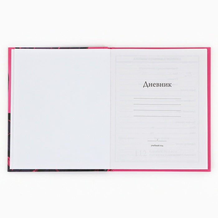 Дневник школьный для 1-4 класса, в твердой обложке, 48 л «1 сентября: Аниме девушка»