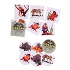 Настольная игра-мемори, "Сафари" - фото 24393006