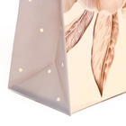 Пакет "Грация", 140 мкм,  мягкий пластик, 24 х 25 х 9 см (комплект 5 шт) - фото 24299856