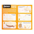 Набор для опытов "Солнечные часы", 9 элементов +компас , в ПАКЕТЕ - фото 24665614