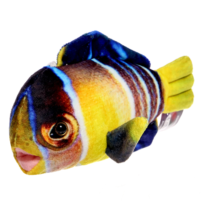 Мягкая игрушка «Рыбка бабочка мини», 16 см - Фото 1