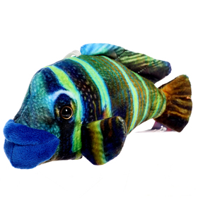 Мягкая игрушка «Рыбка наполеон мини», 16 см