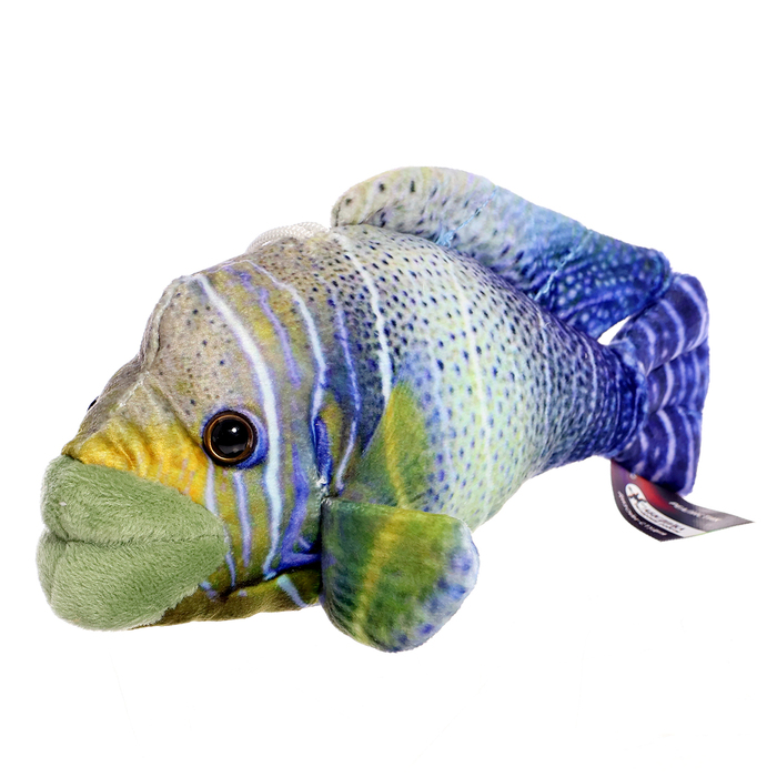 Мягкая игрушка «Рыбка тропическая мини», 16 см - Фото 1