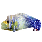 Мягкая игрушка «Рыбка тропическая мини», 16 см - Фото 2