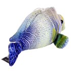 Мягкая игрушка «Рыбка тропическая мини», 16 см - Фото 4