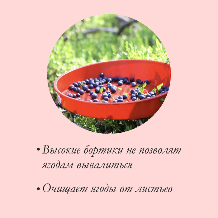 Сито для очистки ягод  d=36 см, h=7.6 см, пластик