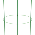 Кустодержатель, 3 кольца, d=15-17-19 см, h=45 см, металл, зелёный - фото 24326221