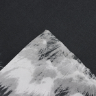 Постельное бельё Павлайн 2сп Одуванчики черн 175х215, 180х215, 70х70см 2шт полисатин 70г/м, полиэстер 100% - фото 24487244