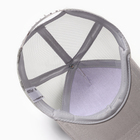 Бейсболка детская "Дино", цвет серый, размер 52 - фото 24487307