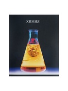 Предметная тетрадь по химии Calligrata TOP «Школьный стиль», 48 листов, в клетку, со справочным материалом, пластиковая обложка - Фото 3